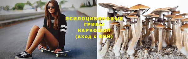apvp Алексеевка
