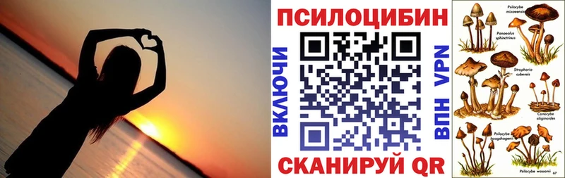кракен зеркало Кириши Псилоцибиновые грибы Magic Shrooms