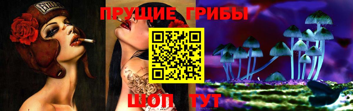Галлюциногенные грибы Psilocybine cubensis  Вход с VPN  Кириши 