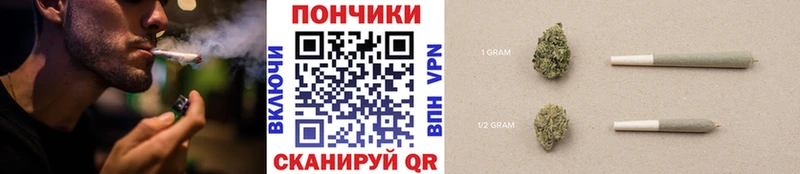 Конопля гибрид  блэк спрут   Кириши 